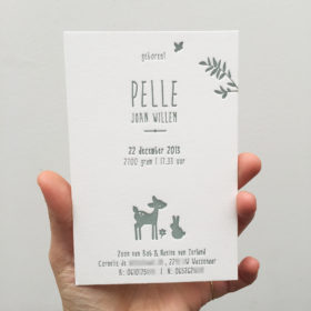 letterpress-geboortekaartje-pelle-hertje-konijntje-vogeltje-takje-jongenskaartje-letterpressamsterdam-relief-diepdruk-bijzonder-uniek-handgemaakt