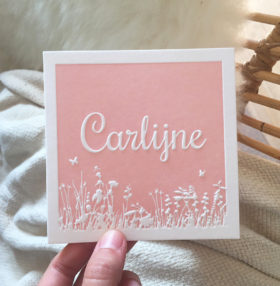 letterpress-geboortekaartje-carlijne-preeg-zachtroze-babyroze-heide-bloemen-thema-veldbloemen-lente-vrolijk-relief-diepdruk-amsterdam