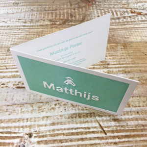 letterpress-geboortekaartje-matthijs-schaapje-preeg-zachtgroen1