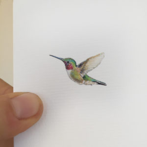 kolibri-geboortekaartje-aquarel-diertjes-geschilderd-emboss-glitter-glittertje-hummingbird-drawing-tippi